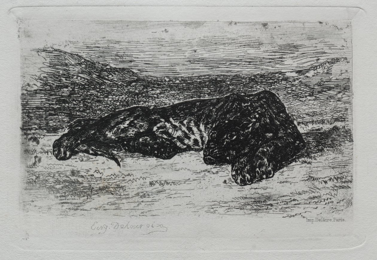 Tiger makaa autiomaassa. tekijältä Ferdinand Victor Eugene Delacroix