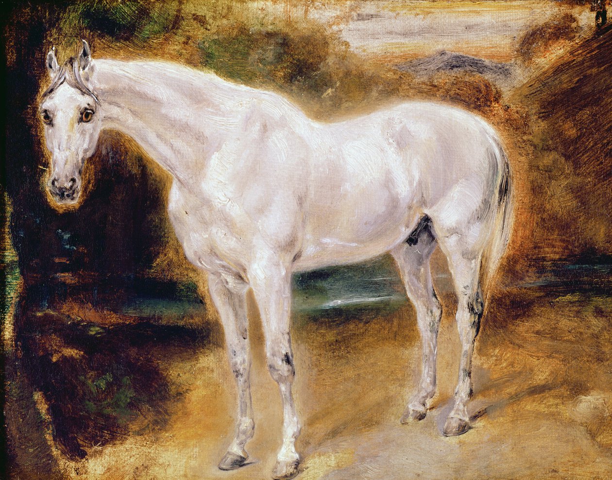 Valkoinen hevonen tekijältä Ferdinand Victor Eugene Delacroix