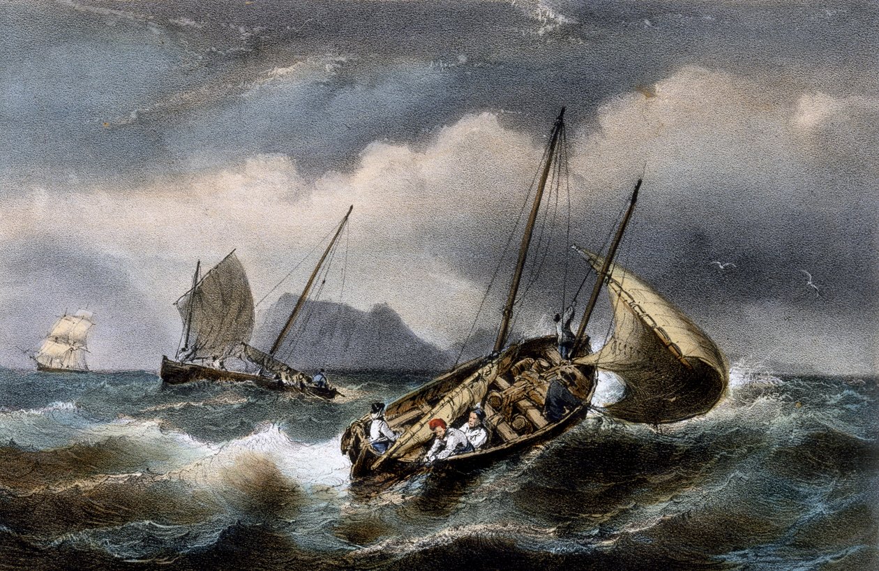 Sardiinien kalastus Bretonnen rannikolla, Ferdinand Perrotin värillinen litografia (1808-1841) tekijältä Ferdinand Victor Perrot