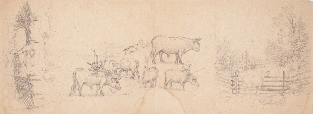 Erilaisia luonnoksia lehmistä ja sonneista tekijältä Ferdinand von Wright