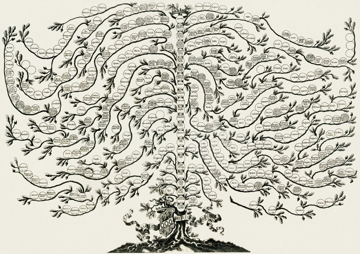 Albero genealogico marsciano ughelli tekijältä Ferdinando Ughelli