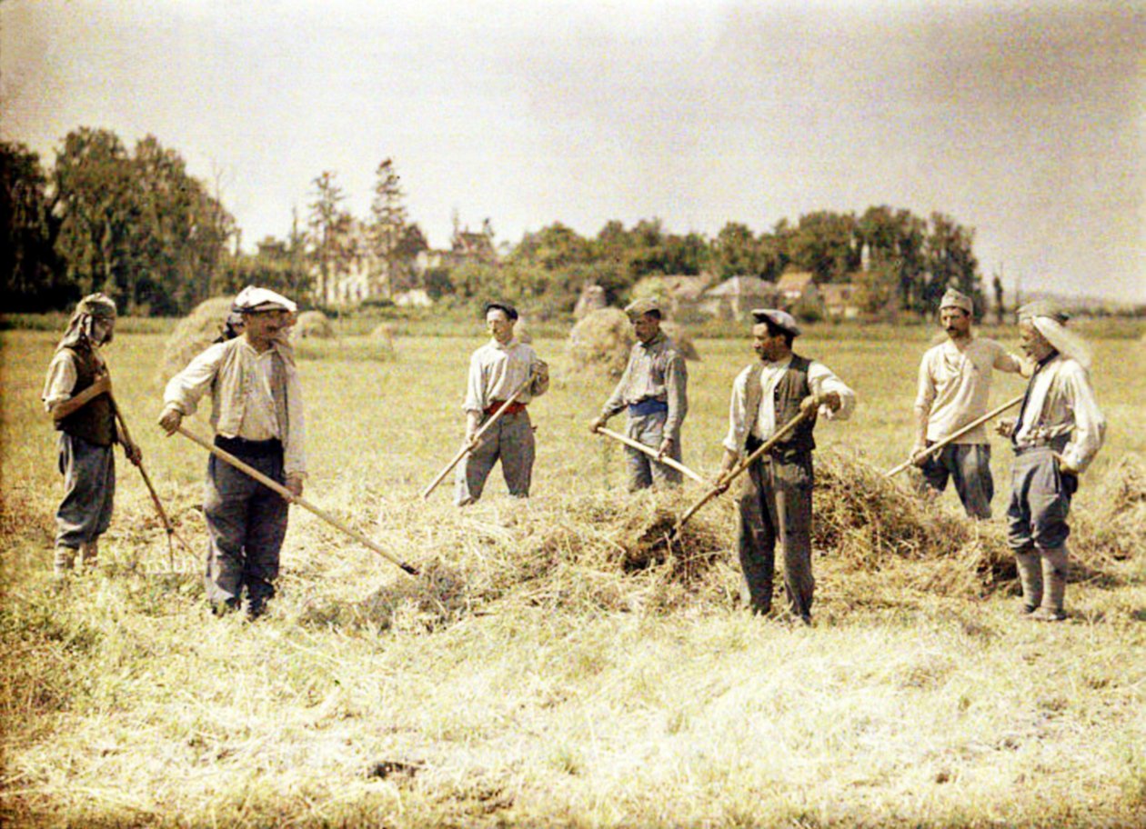 Ranskan armeijan 143. jalkaväkidivisioonan kahdeksan jäsentä tekee heinää, Soissons, Aisne, Ranska, 1917 (autochrome) tekijältä Fernand Cuville