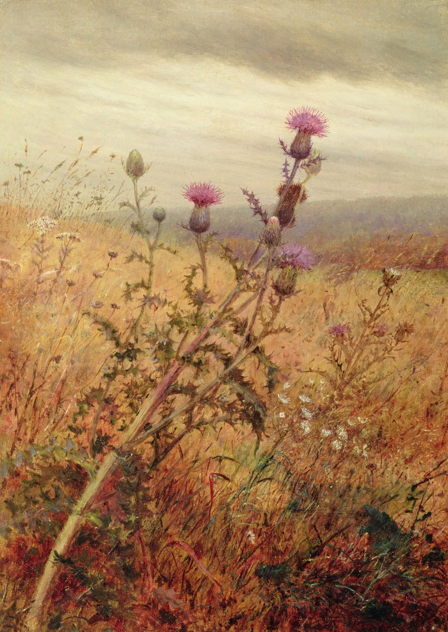 Ohdake pellolla, 1875 tekijältä Fidelia Bridges