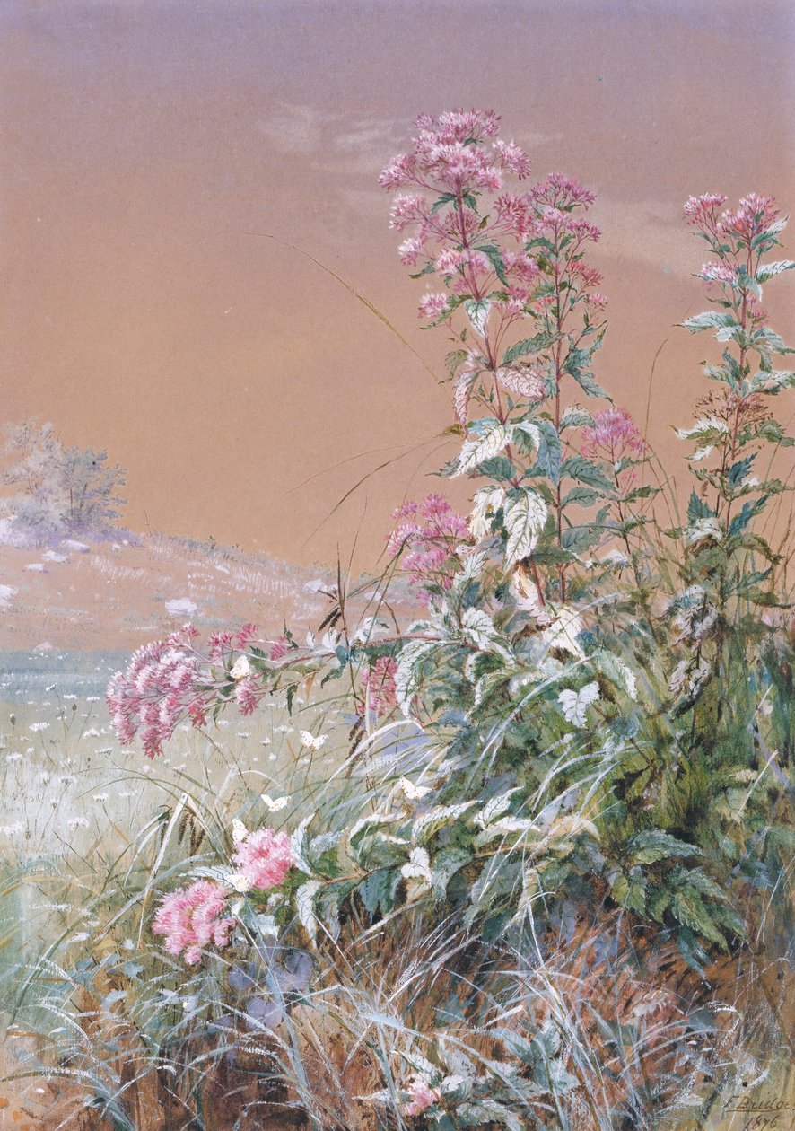 Untitled tekijältä Fidelia Bridges