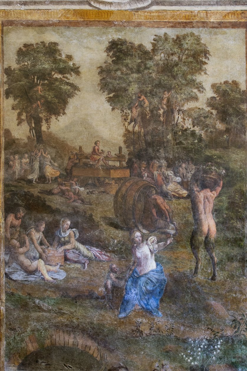 "Sato", yksityiskohta Camerino dei Baccanalista (tuore) tekijältä Filippino (and workshop) Lippi
