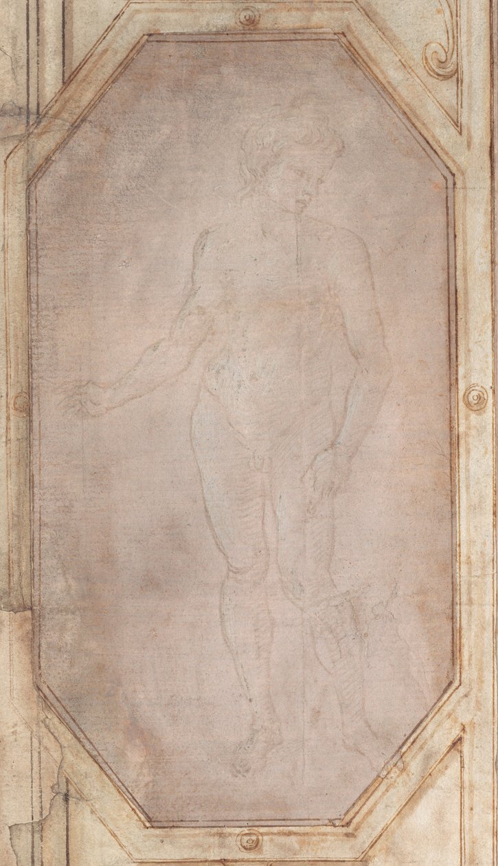 Seisova alaston nuori tekijältä Filippino Lippi