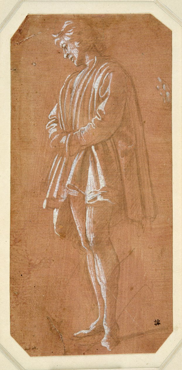 Tutkimus nuoresta miehestä, joka seisoo kädet ristissä hihoissaan (metallipiste paperille valmistettu vaaleanpunainen, korotettu valkoisella vartalonvärillä) tekijältä Filippino Lippi
