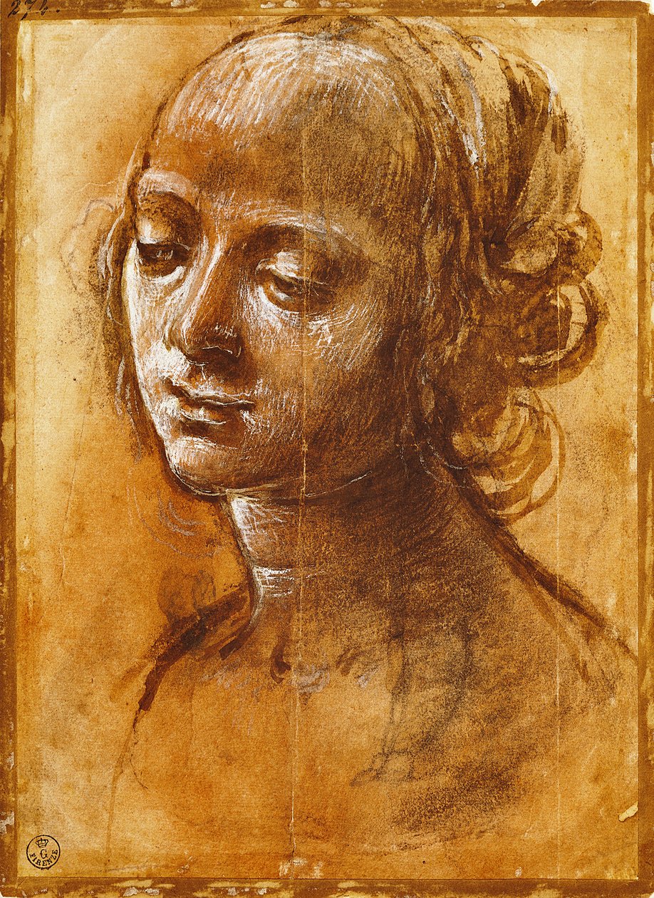 Naishahmo, Filippino Lipin (1457-n. 1504), piirustus tekijältä Filippino Lippi