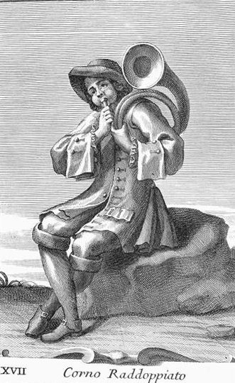 Kaksoissarvi, levy XVII Armonica Cabinetista, 1722 tekijältä Filippo Bonanni