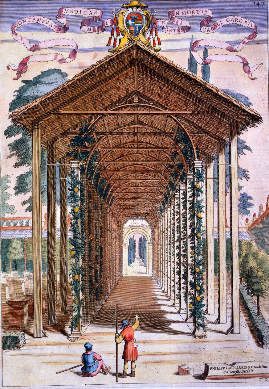 Trellised Covered Walkway, Giovanni Battista Ferrarin "Hesperides", kaiverrus Camillo Congio (fl.1630), julkaistu 1646 tekijältä Filippo Gagliardi