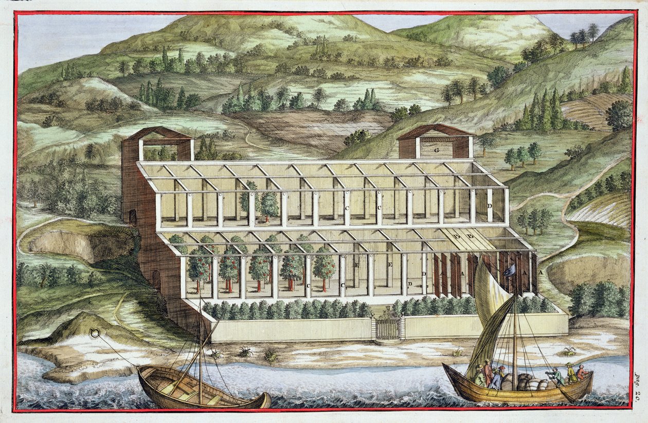 Kasvihuoneen rakenne, Giovanni Battista Ferrarin "Hesperides", kaiverrus Cammillo Congio (fl.1630), julkaistu 1646 tekijältä Filippo Gagliardi
