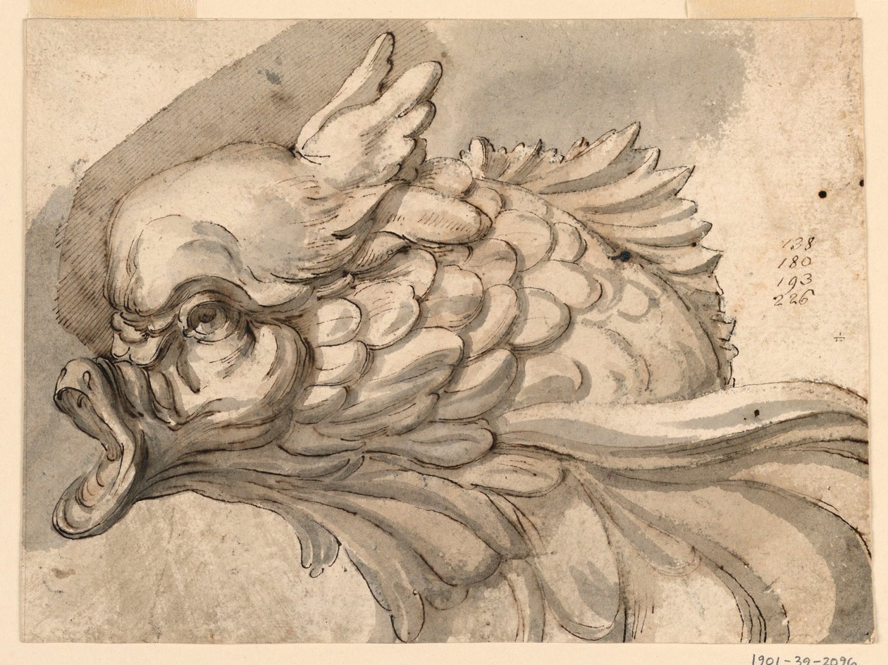 Piirros, delfiinin pää, n. 1775. tekijältä Filippo Marchionni