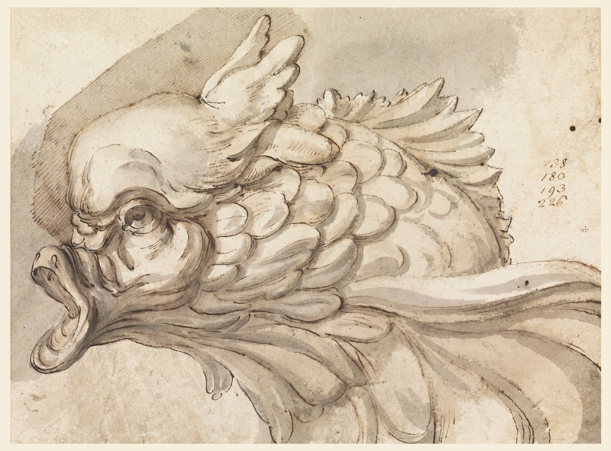 Piirros, delfiinin pää, n. 1775. tekijältä Filippo Marchionni
