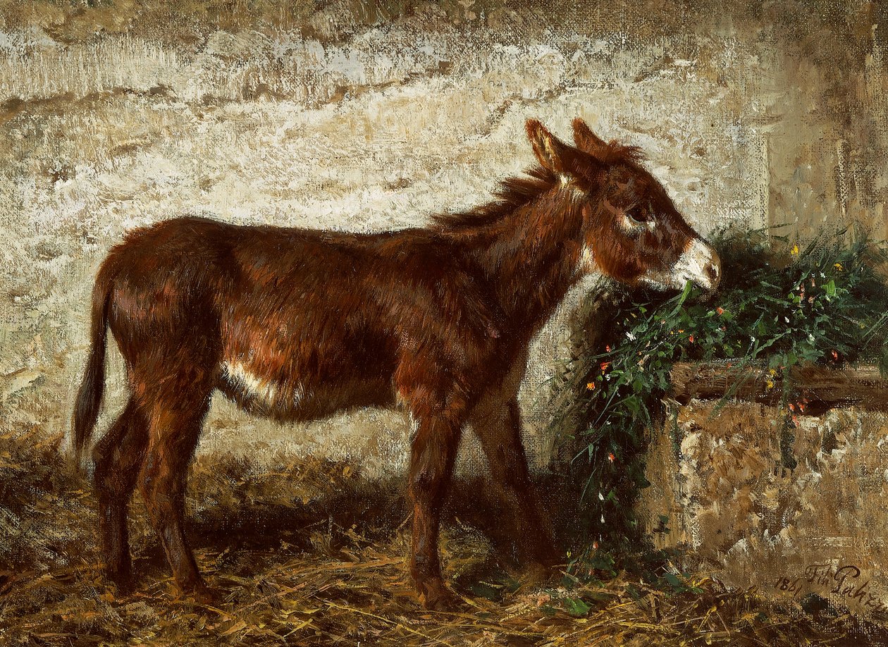 Aasi pinnasängyssä, kirjoittanut Filippo Palizzi (1818-1899) tekijältä Filippo Palizzi