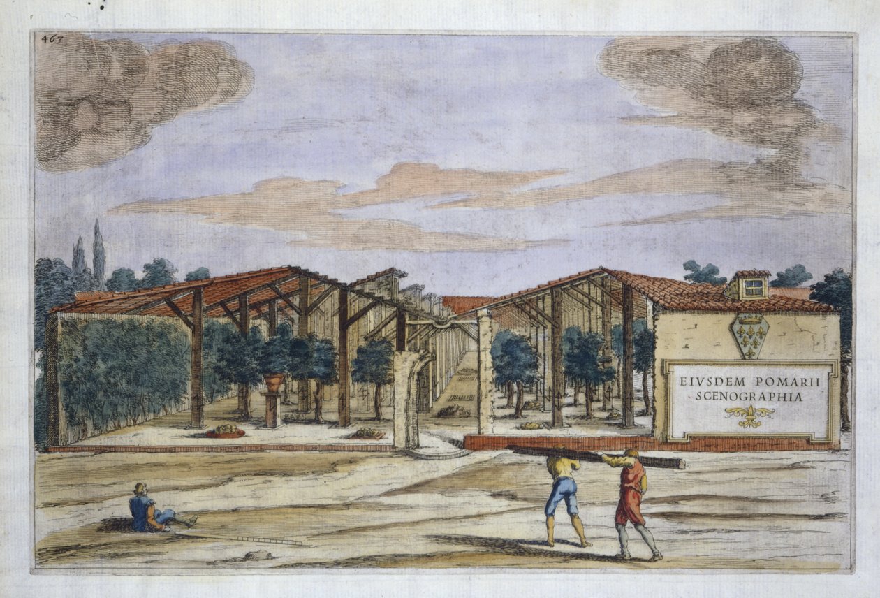 Katettu hedelmätarha, Giovanni Battista Ferrarin teoksesta Hesperides, kaiverrettu Camillo Congion (1630) toimesta, julkaistu 1646 (käsin väritetty kaiverrus). tekijältä Filippo after Gagliardi