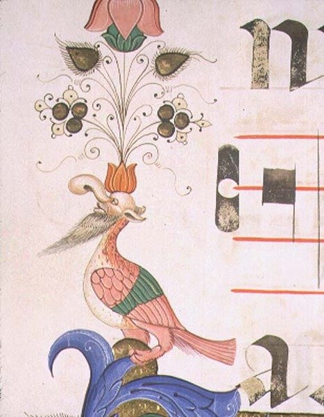 Missal 515 f.120v Groteski lintu ihmispäällä, yksityiskohta koristeellisesta reunasta ennen vuotta 1449 tehdystä kuorokirjasta (vellum) tekijältä Filippo di Matteo Torelli