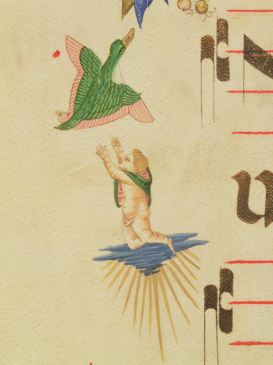 Missal 515 f.13v Viittaan puettu kerubi yrittää saada kiinni lentävää lintua, koristeellisesta reunuksesta, yksityiskohta kuorokirjasta, joka on toteutettu ennen vuotta 1449, pergamentti, yksityiskohta 56721 tekijältä Filippo di Matteo Torelli