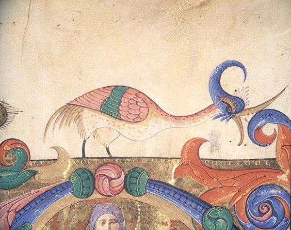 Missal 515 f.169r Fantastinen lintu, yksityiskohta historiallisen alkukirjaimen ympärillä olevasta koristeesta, kuorokirjasta, joka on tehty ennen vuotta 1449 (pergamentti) (yksityiskohta 56720:sta) tekijältä Filippo di Matteo Torelli