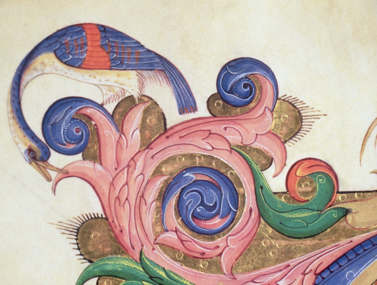 Missal 515 f.169r Fantastinen lintu kurkistelee lehtien ympärillä, yksityiskohta historiallisen alkukirjaimen ympärillä olevasta koristeesta ennen vuotta 1449 toteutetusta kuorokirjasta, pergamentti, yksityiskohta 56720 tekijältä Filippo di Matteo Torelli