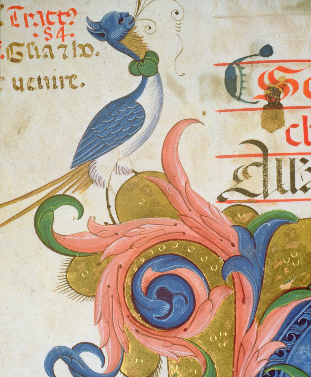 Missal 515 f.28v Fantastinen lintu, jolla on ihmisen pää, seisoo historiallisen alkukirjaimen kulmassa, yksityiskohta kuorokirjasta, joka on toteutettu ennen vuotta 1449, pergamentti, yksityiskohta 56724 tekijältä Filippo di Matteo Torelli