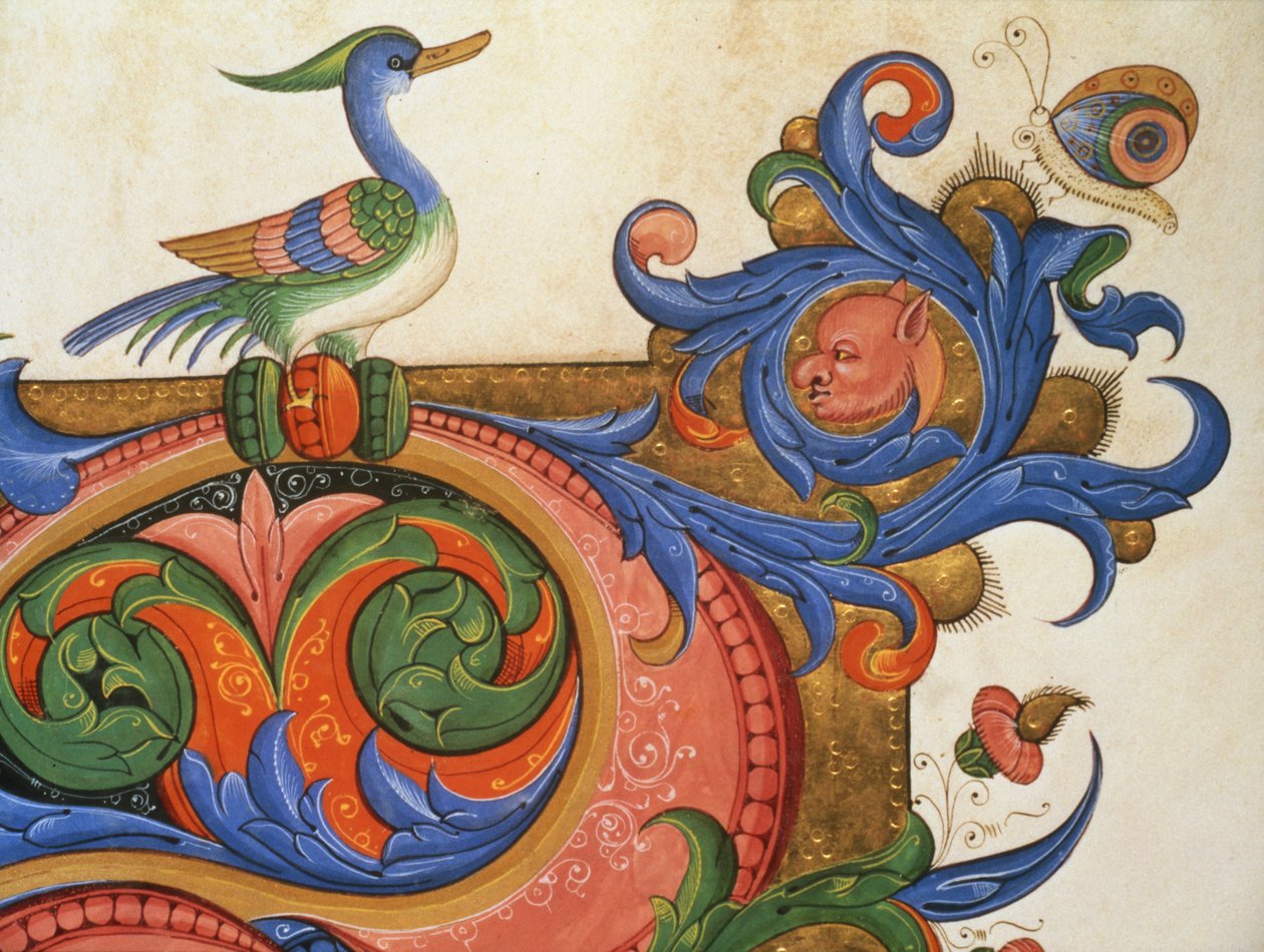 Missal 515 f.92v Zoomorfinen lehtikuvio, jossa on ankkamainen lintu ja perhonen, yksityiskohta koristeluista historiallisen alkukirjaimen ympärillä ennen vuotta 1449 toteutetusta kuorokirjasta vellumilla. tekijältä Filippo di Matteo Torelli