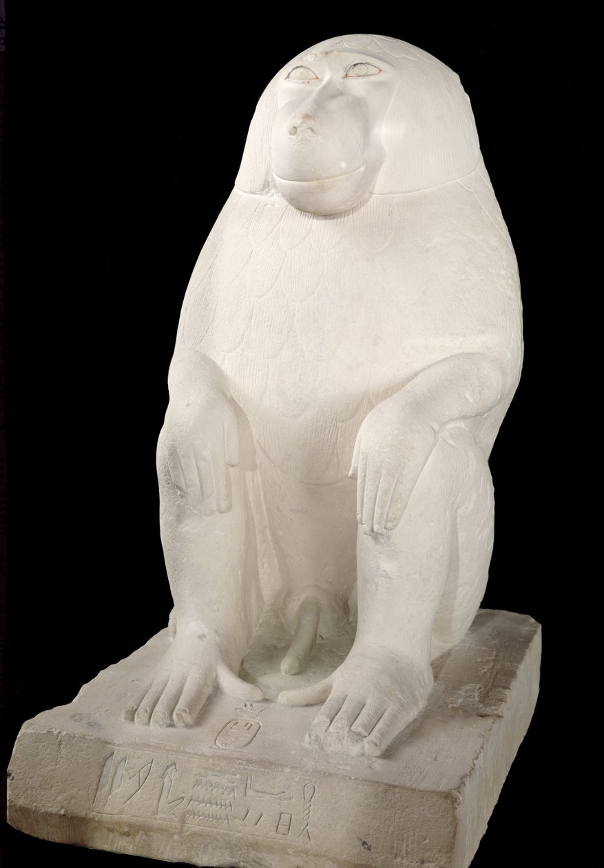 Paviaani, Keski-Britannia, mahdollisesti 7. dynastia (kalkkikivi) tekijältä First Intermediate Period Egyptian