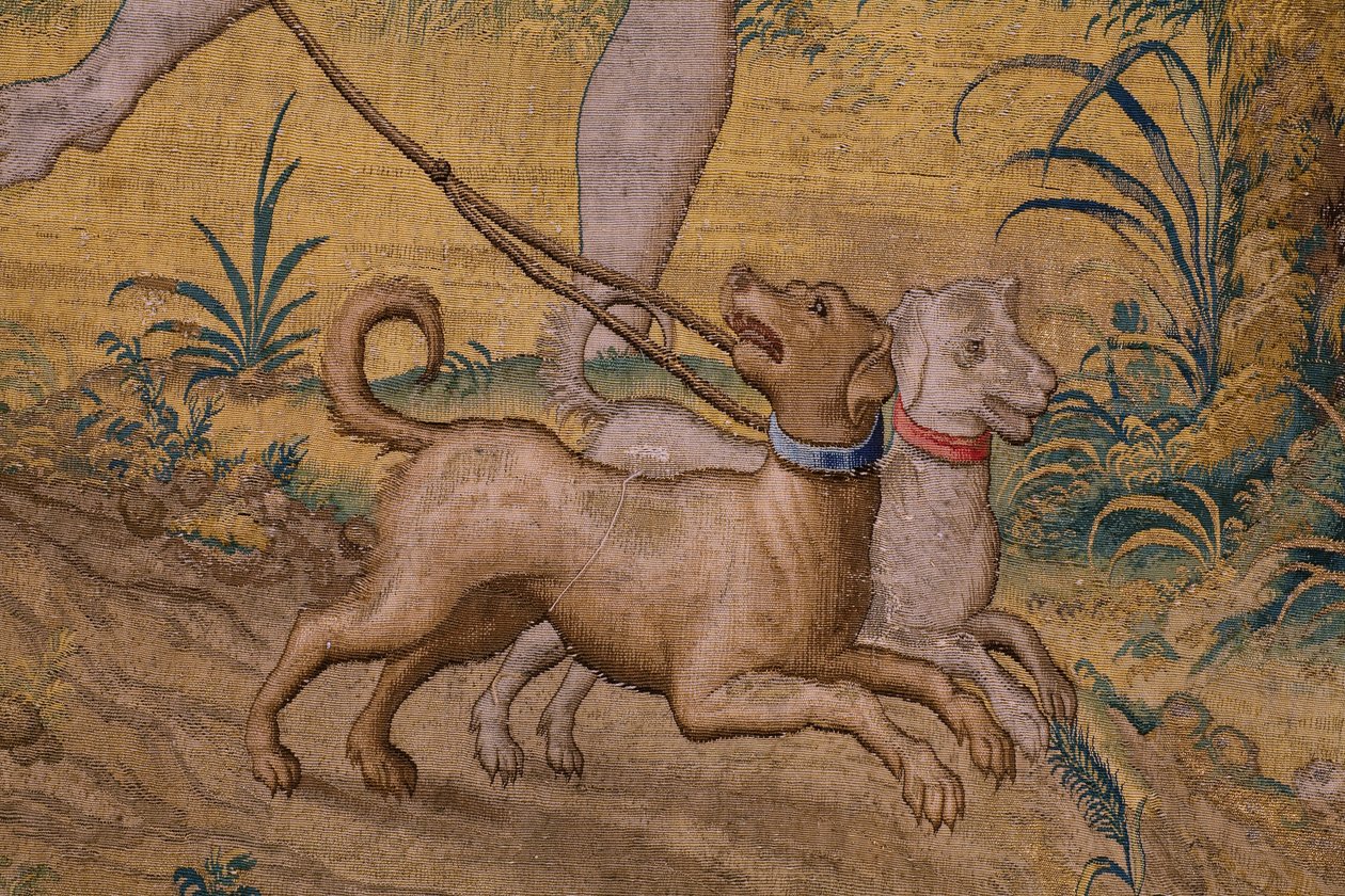 Flanderin kuvakudos. Sarja Fable of Ovidius: Ganymedesin ryöstö. Atelier Willem de Pannemaker, Bryssel. Ennen vuotta 1556. Yksityiskohta. tekijältä Flemish School