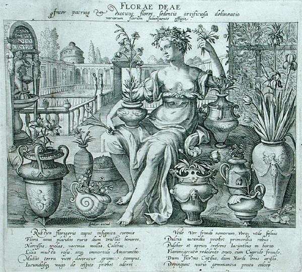 Flora (kaiverrus) tekijältä Flemish School
