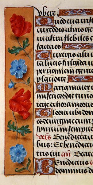 Ms. 1058-1975, f.16r: yksityiskohta kukkareunuksesta Tuntikirjasta, n. 1500 (vellum) tekijältä Flemish School