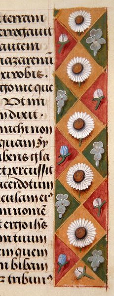 Ms. 1058-1975, f.16r: yksityiskohta kukkareunuksesta Tuntikirjasta, n. 1500 (vellum) tekijältä Flemish School