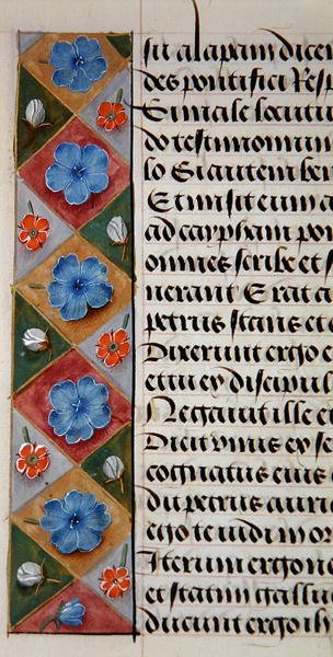 Ms. 1058-1975, f.17v: yksityiskohta kukkareunuksesta Book of Hours -kirjasta, n. 1500 (vellum) tekijältä Flemish School