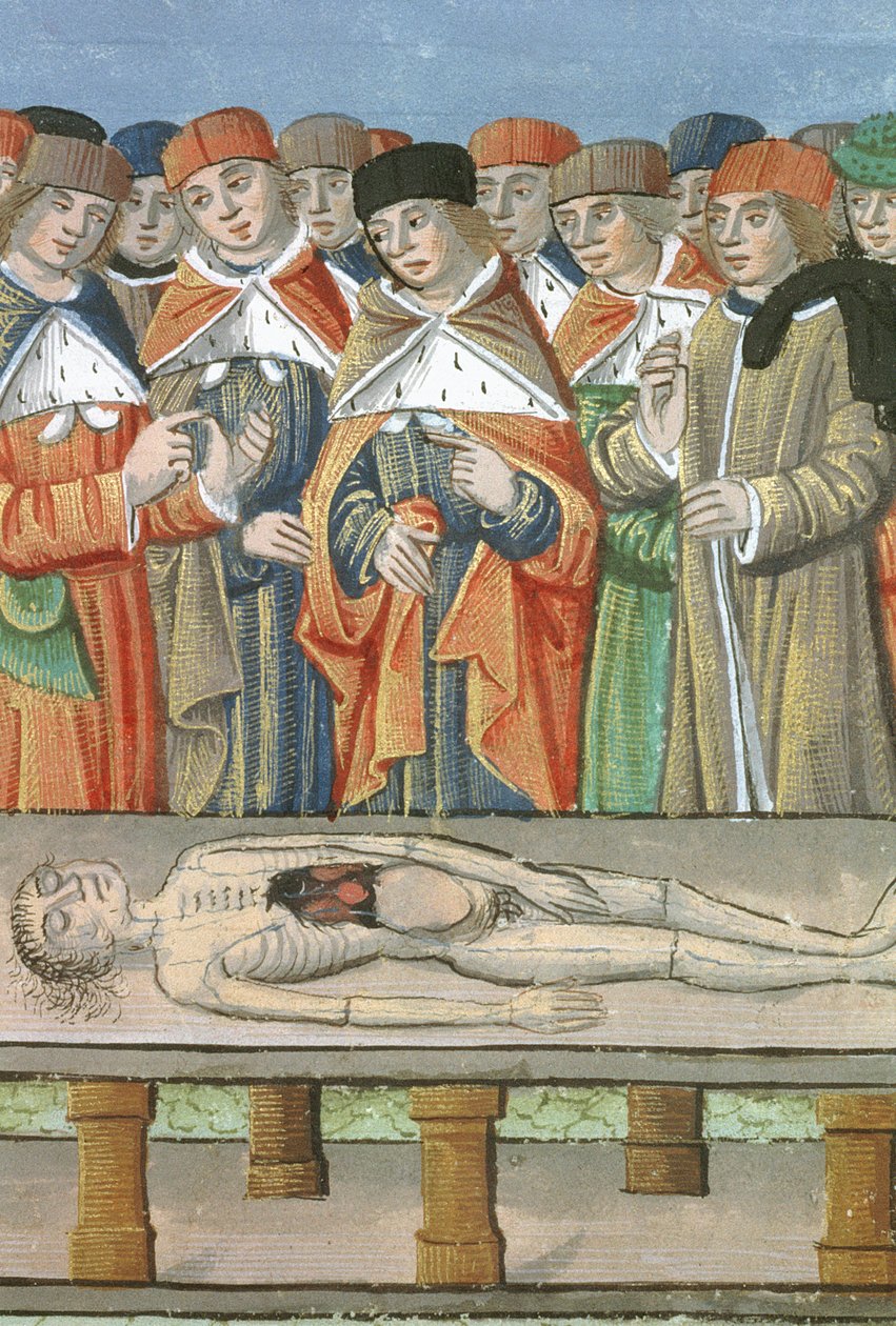 Ms Hunter 9 f.36r Dissektio, De Medina Fen I. II, kirjoittanut Avicenna (980-1037) tekijältä Flemish School