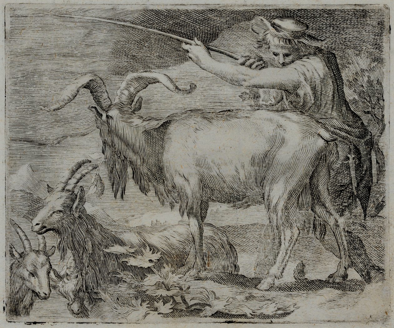 Old Master Kaiverrus tekijältä Flemish School