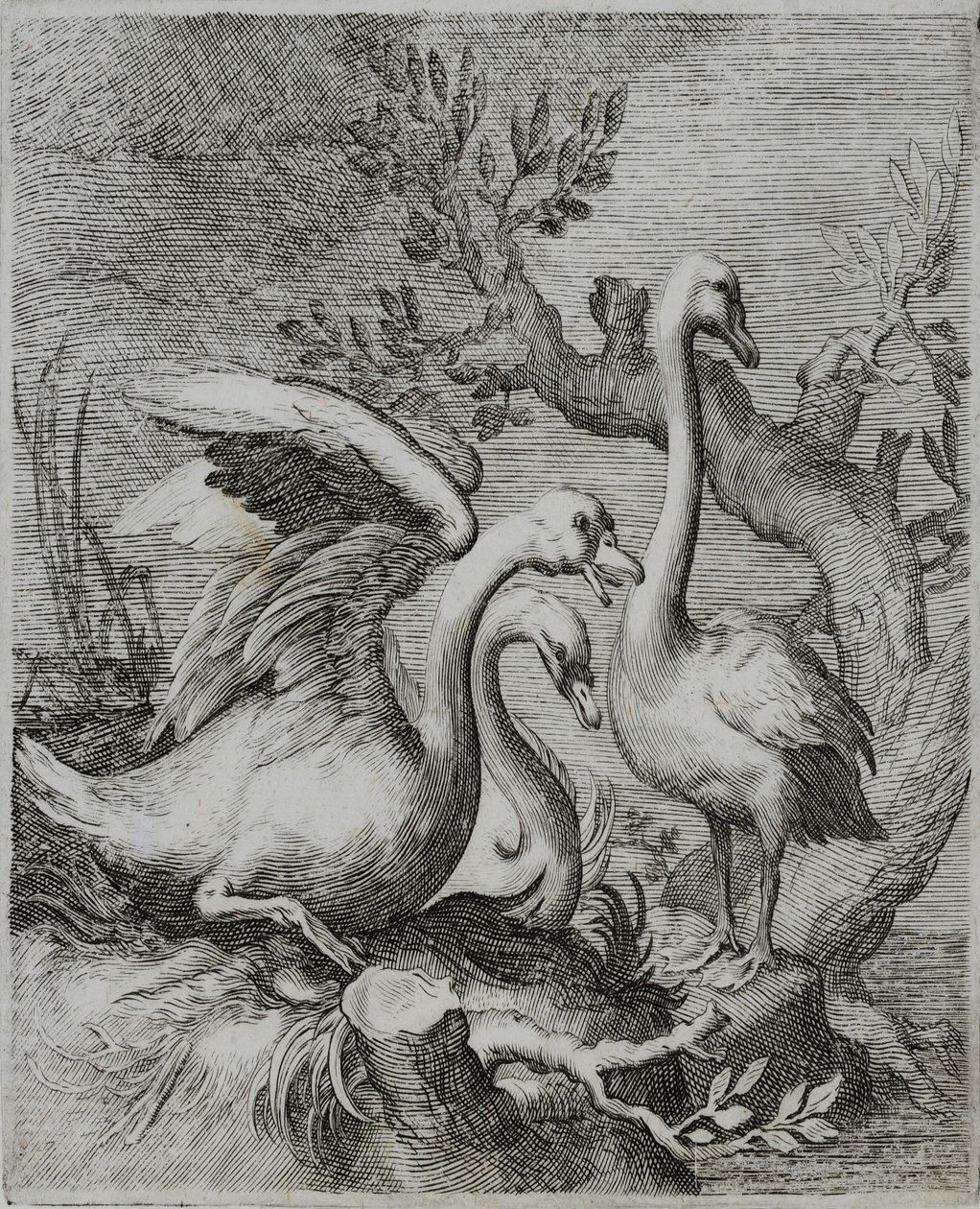 Old Master Kaiverrus tekijältä Flemish School