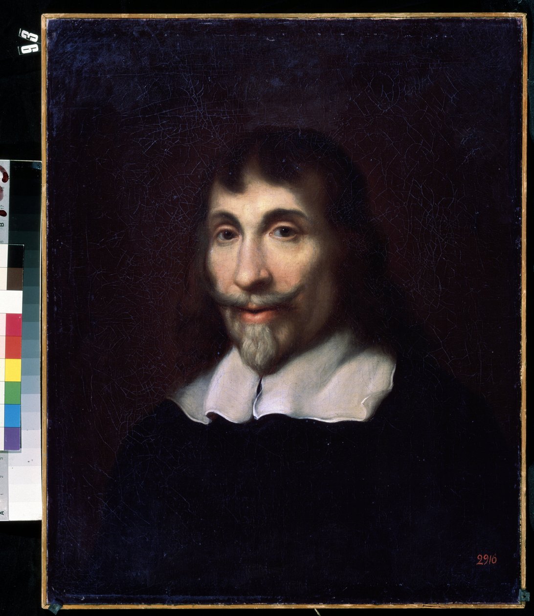 Miehen muotokuva. (Miehen muotokuva). Anonyymi maalaus 1600-luvun hollantilaisesta koulusta. Öljy kankaalle. Mihail Kroshitskyn taidemuseo, Sevastopol (Sevastopol) Ukraina tekijältä Flemish School