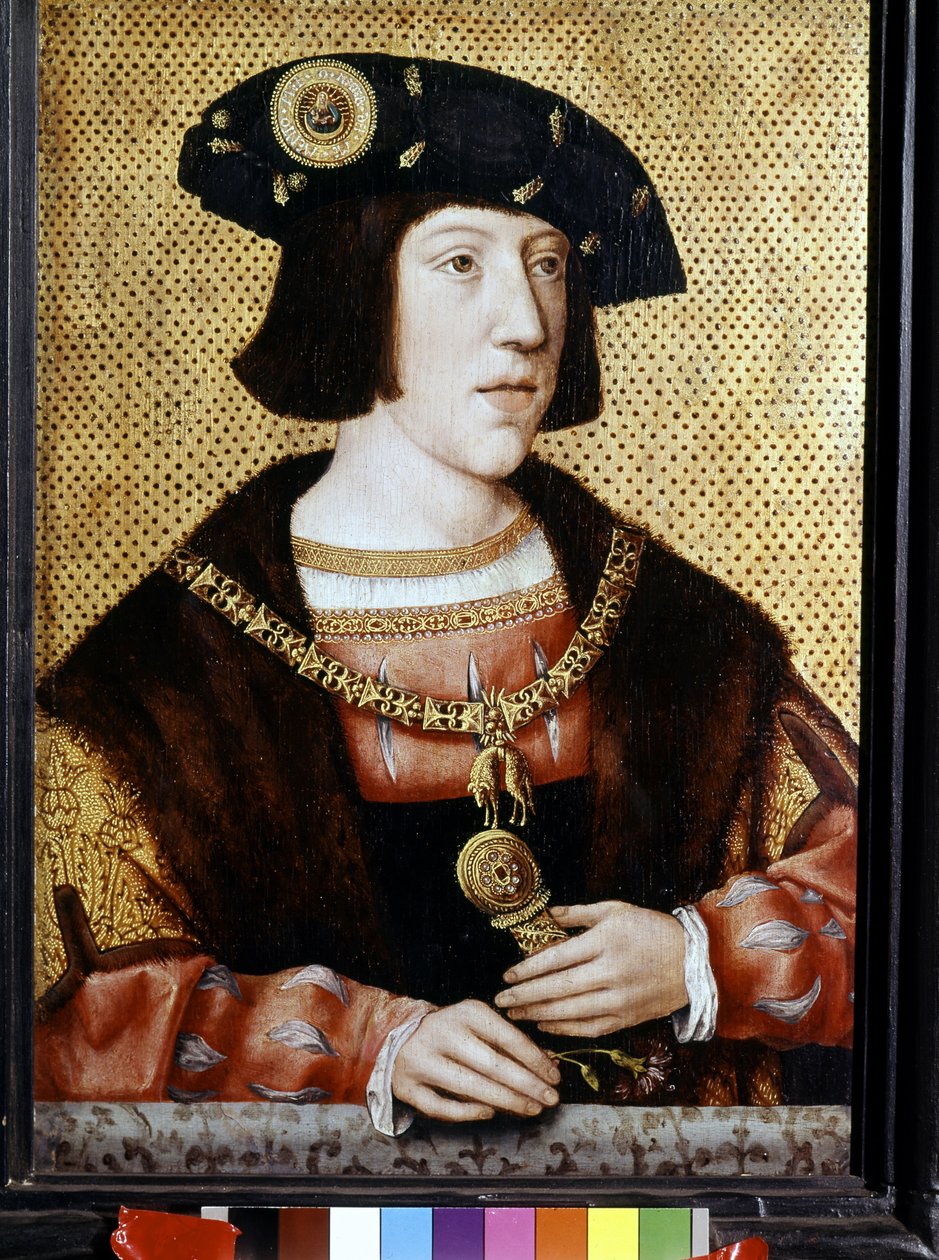 Kaarle V:n (1500 - 1558), Saksan keisarin muotokuva. 1500-luvun flaamilainen koulu (öljy kankaalle) tekijältä Flemish School