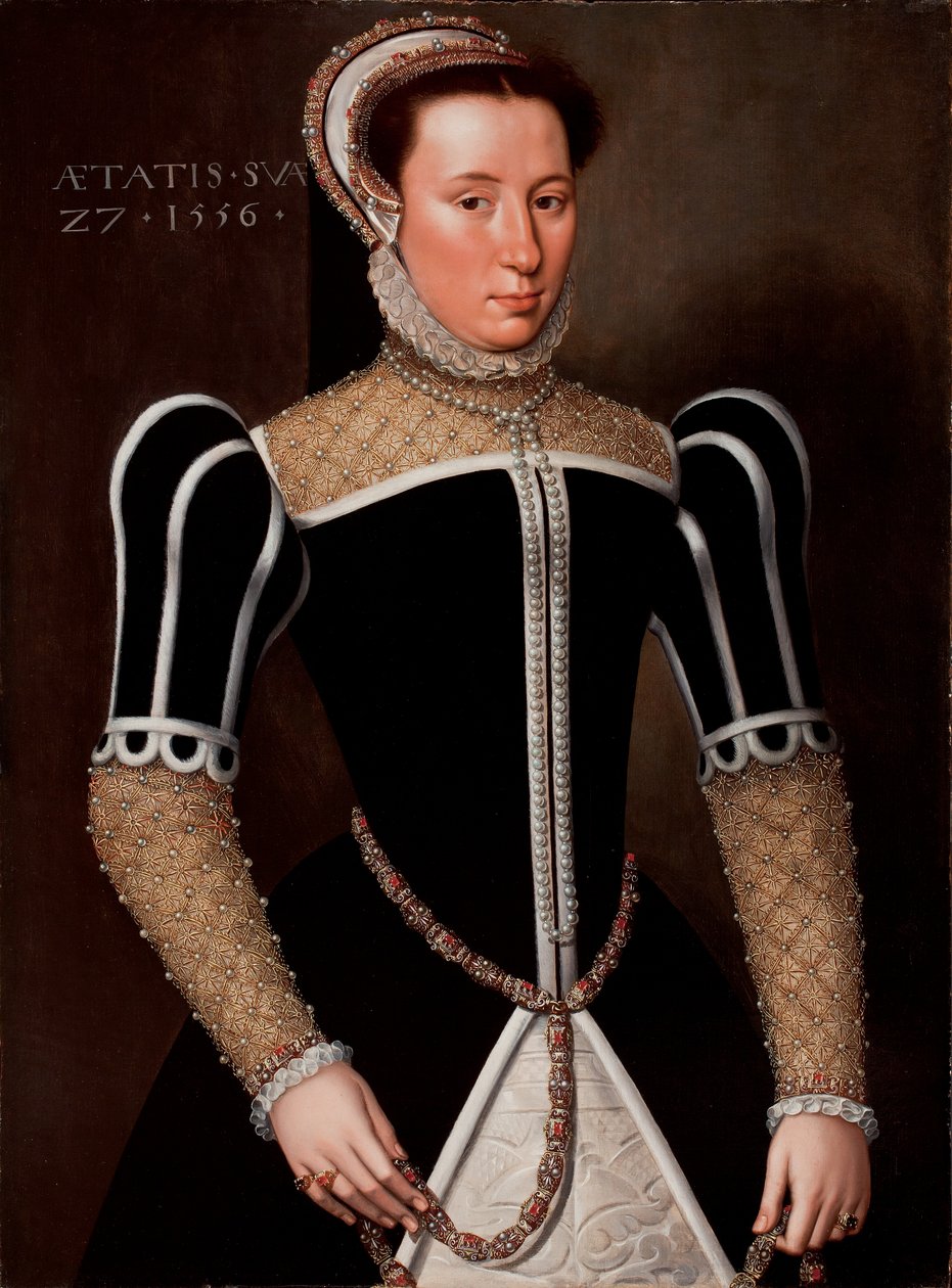 Naisen muotokuva, 1556 tekijältä Flemish School