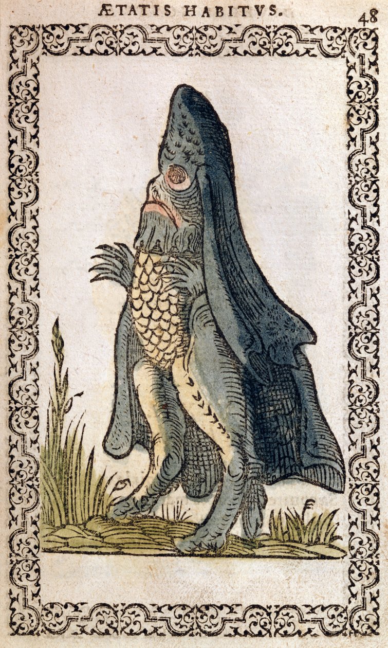 Meripiispa tai merihirviö, kuva Jean Sluperjin teoksesta Melkein kaikkien kansojen ja nykyisten kansakuntien tottumukset ja muotokuvat, Antwerpen, 1572 (väripuupiirros) tekijältä Flemish School