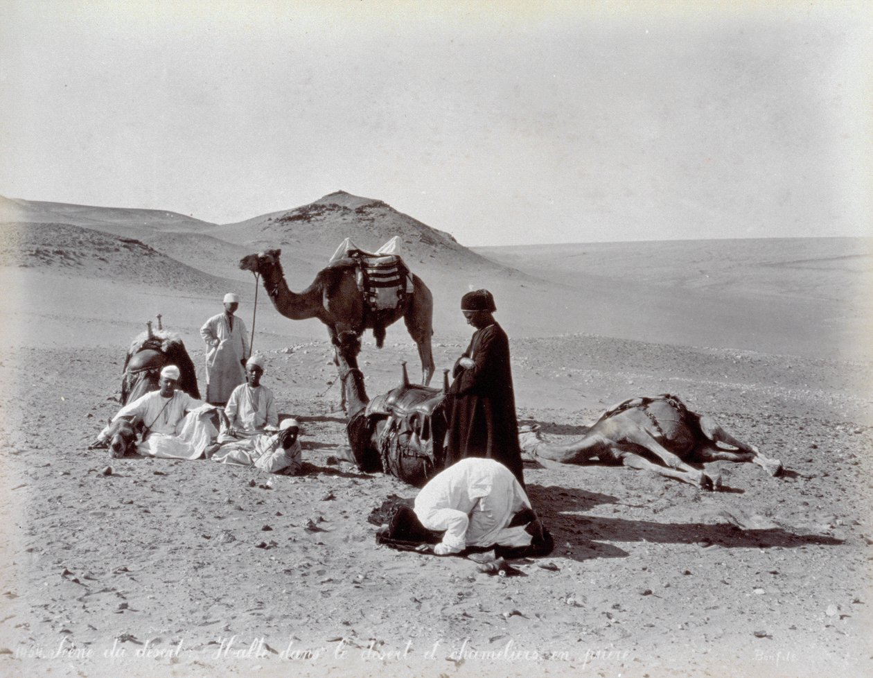 Egyptiläiset kamelit tauon aikana erämaassa. Etualalla kaksi pienen ryhmän jäsentä näyttävät rukoilevan tekijältä Félix Bonfils