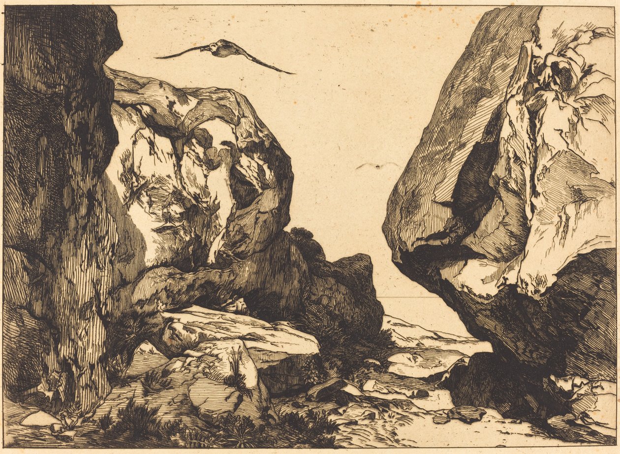 Gorge in the Rocks tekijältä Félix Bracquemond after Jules Laurens