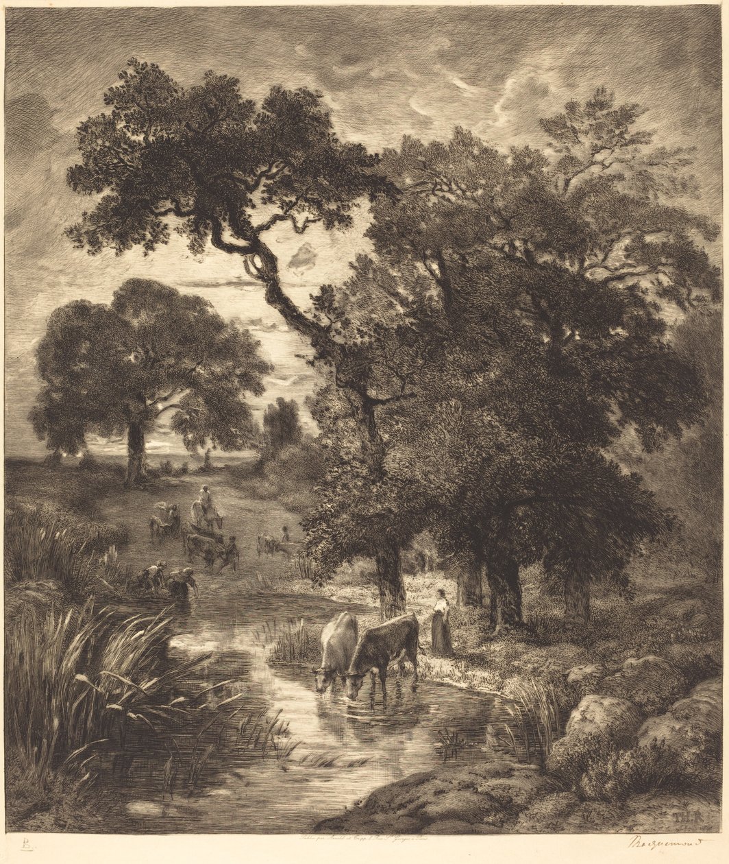 Ilta tekijältä Félix Bracquemond after Théodore Rousseau