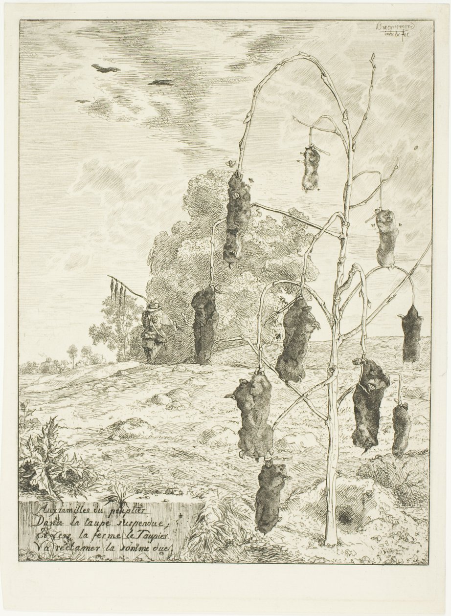 Myyrät tekijältä Félix Henri Bracquemond
