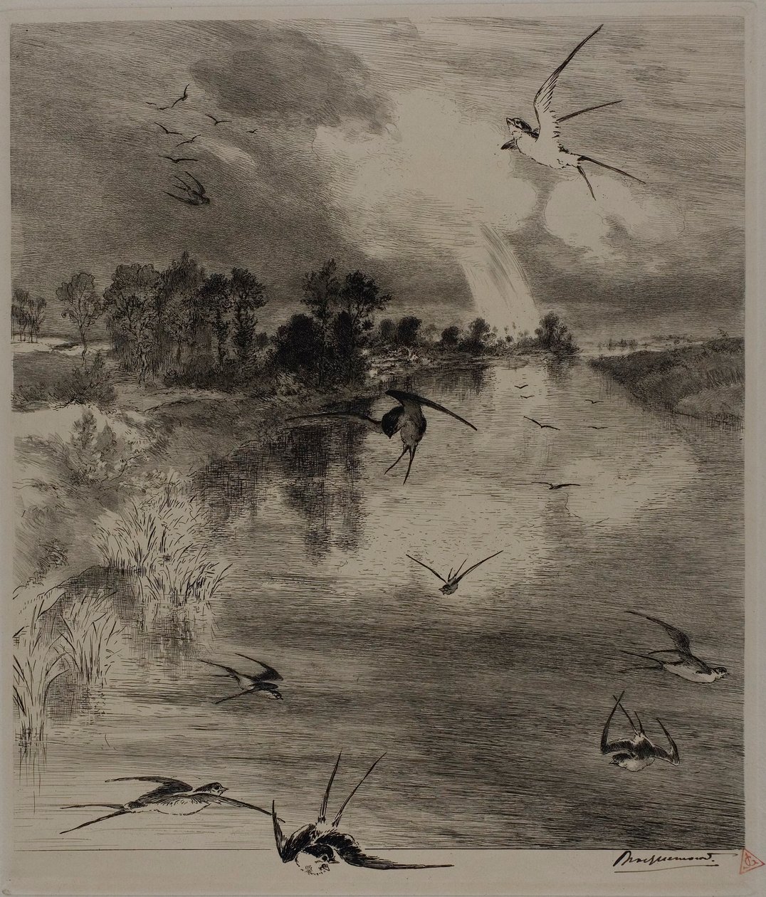 Pääskyset tekijältä Félix Henri Bracquemond