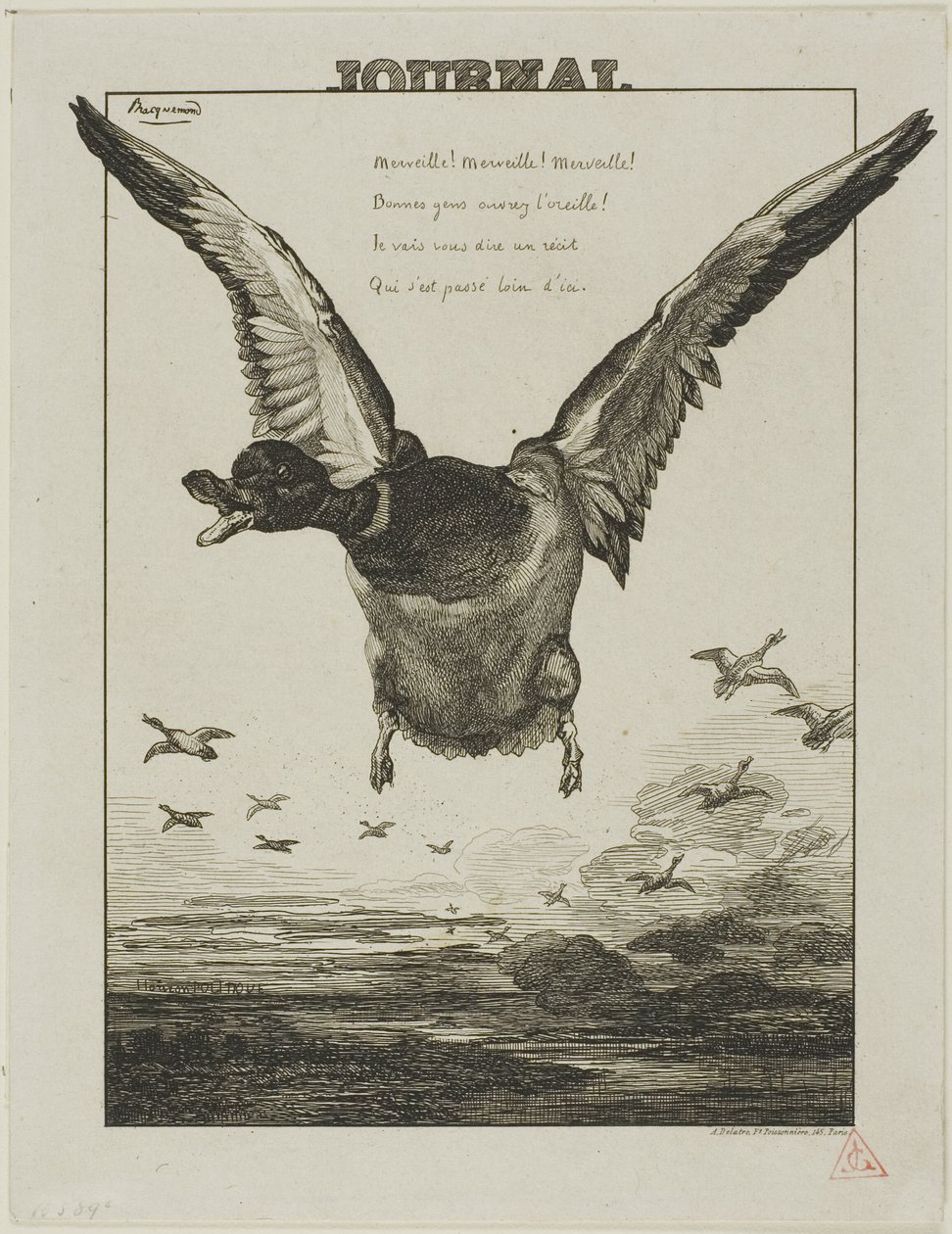Ankka tekijältä Félix Henri Bracquemond