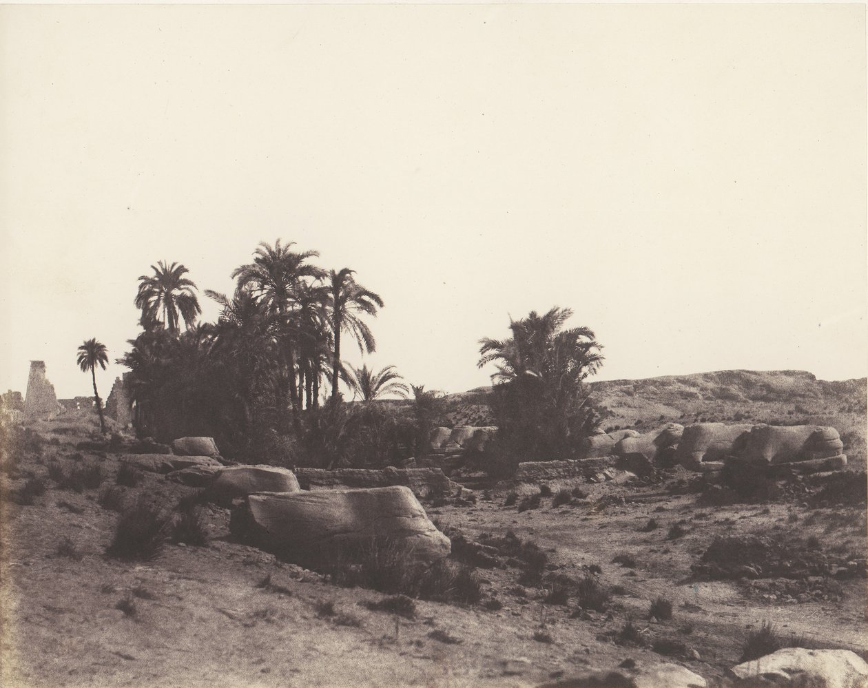 Karnak Thebes, Avenue of Sphinxes - Yleinen näkymä pisteestä G, 1851-52, painettu 1853-54. tekijältä Félix Teynard