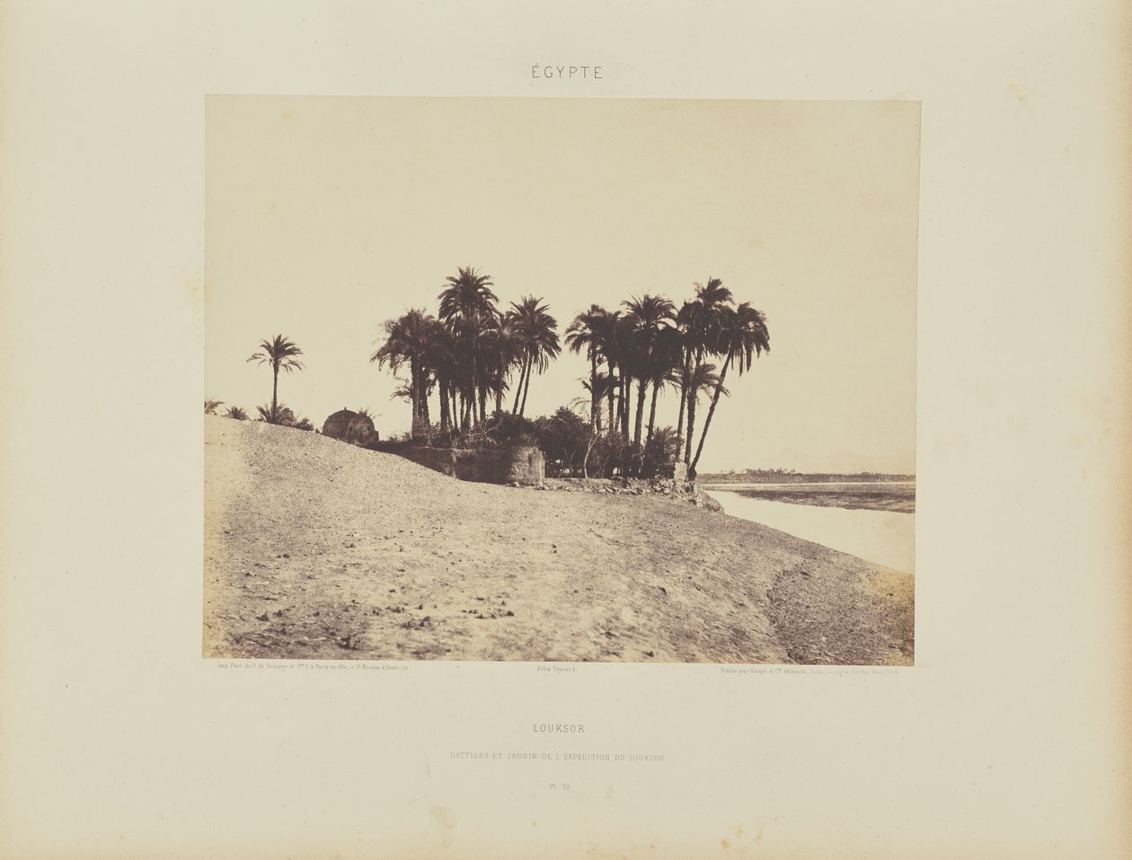 Luxor. Taatelipalmut ja Luxor Expedition Garden tekijältä Félix Teynard