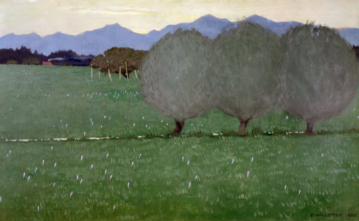 Pajut tekijältä Félix Vallotton