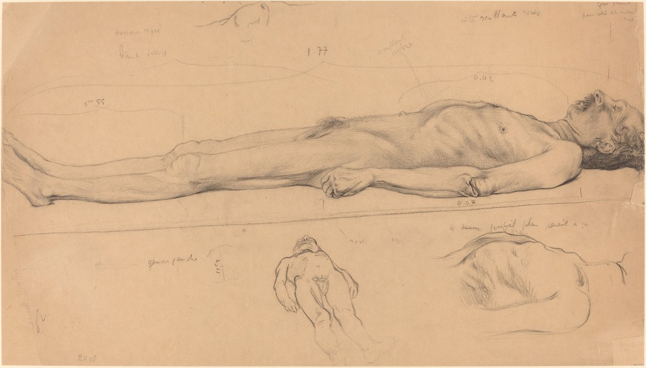 Ruumis (Study for the Dead Christ) tekijältä Félix Vallotton