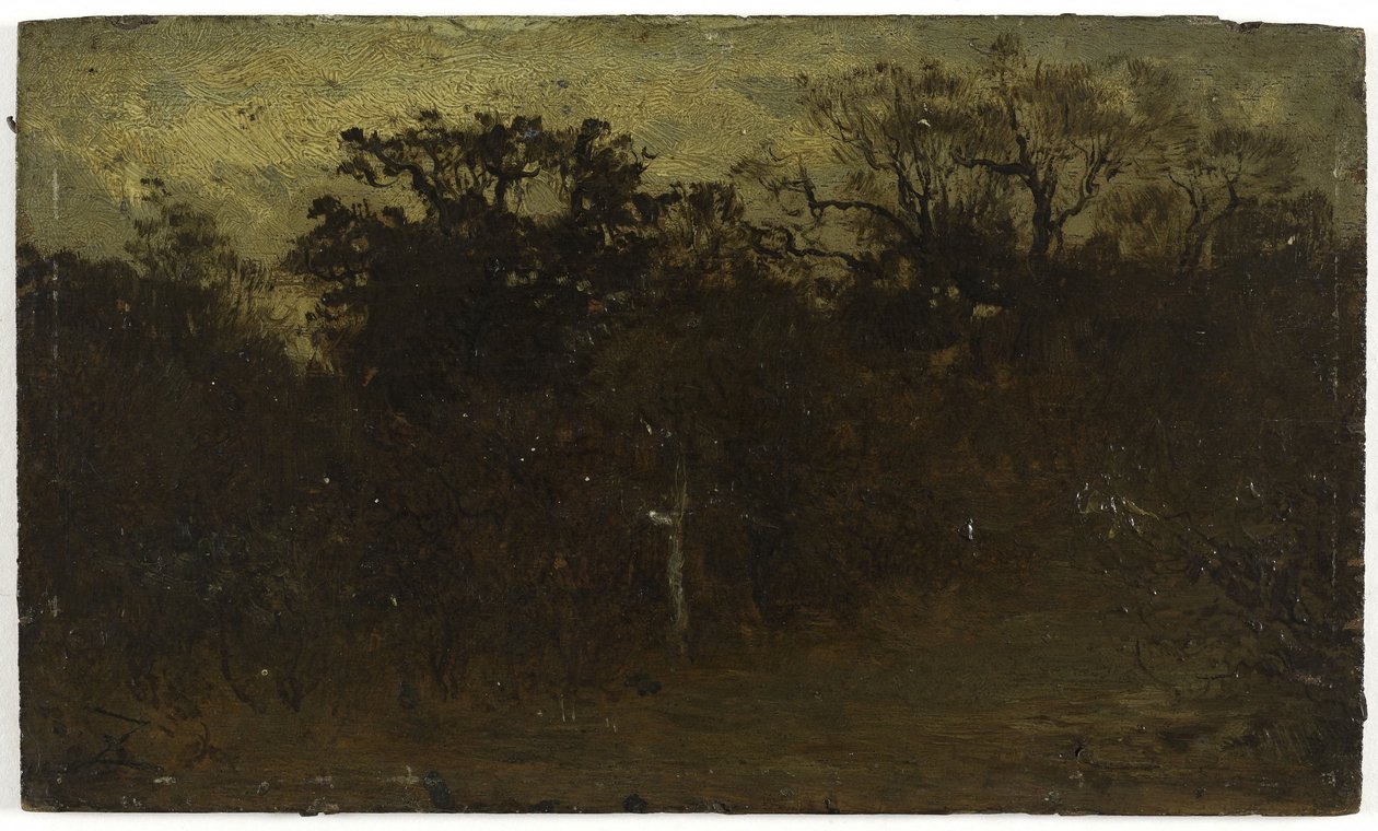 Metsäkulma, 1850-1860 (öljy puulle) tekijältä Félix Ziem