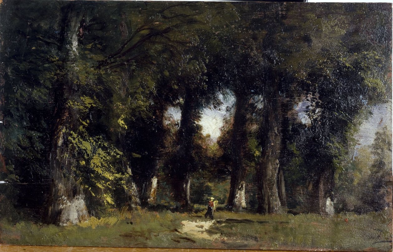 Metsänreuna (edessä), animoitu maisema (takana), 1850-1860 (öljy puulle). tekijältä Félix Ziem
